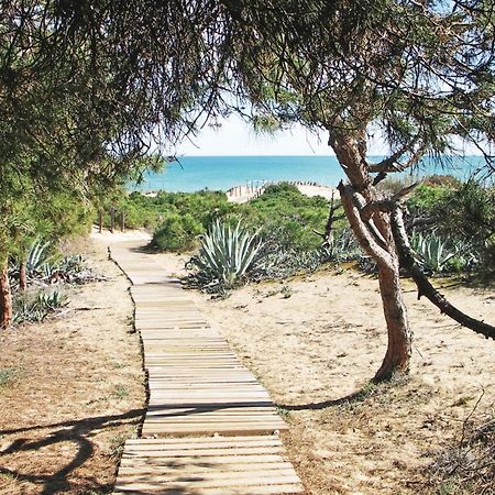 2 Bedroom Nice Apartment In Guardamar Del Segura Εξωτερικό φωτογραφία